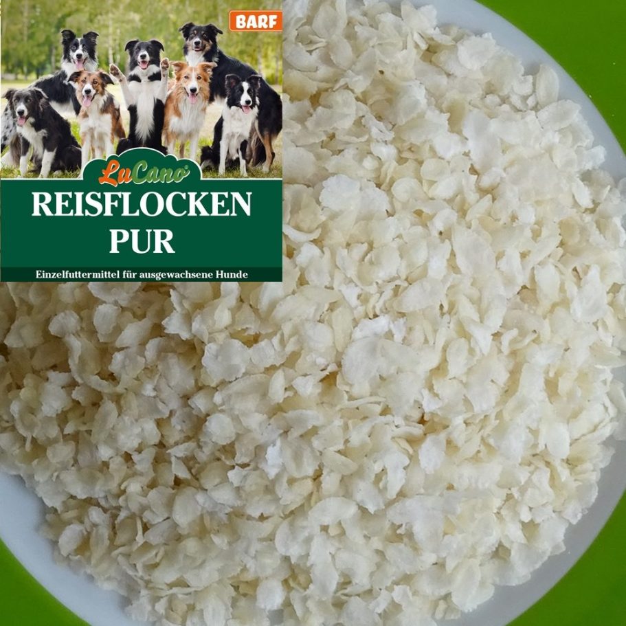 Hund Reisflocken und Hirse