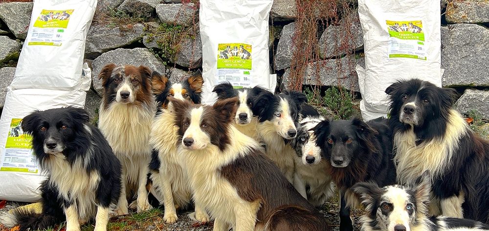 LuCano Flocken für Hunde