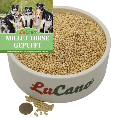 gesunde Hunde Ernährung mit Millet Hirse