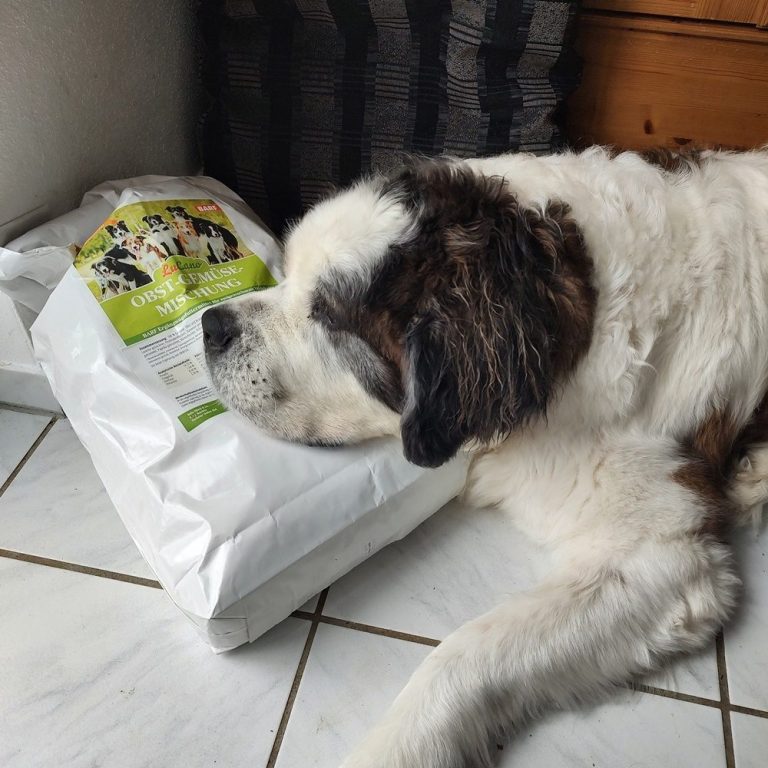 Hunde Flockenmixer